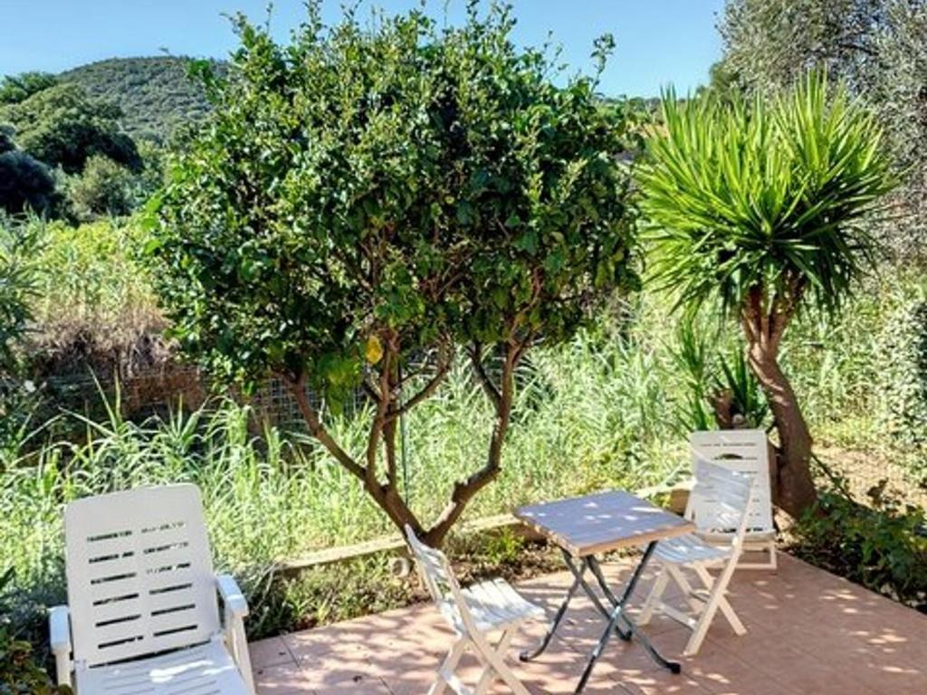 Mazet avec piscine et tennis, 2 chambres, calme - Bormes-les-Mimosas - FR-1-610-46