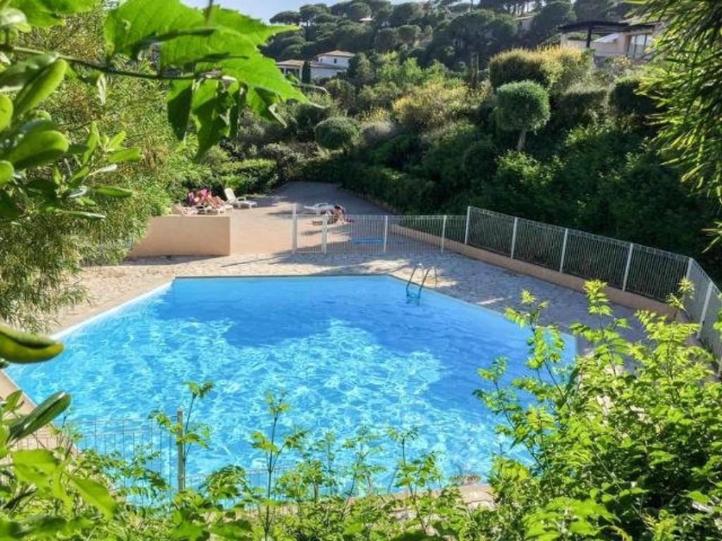 Appartement avec piscine et terrasse ensoleillée, acceptant les animaux - FR-1-768-18
