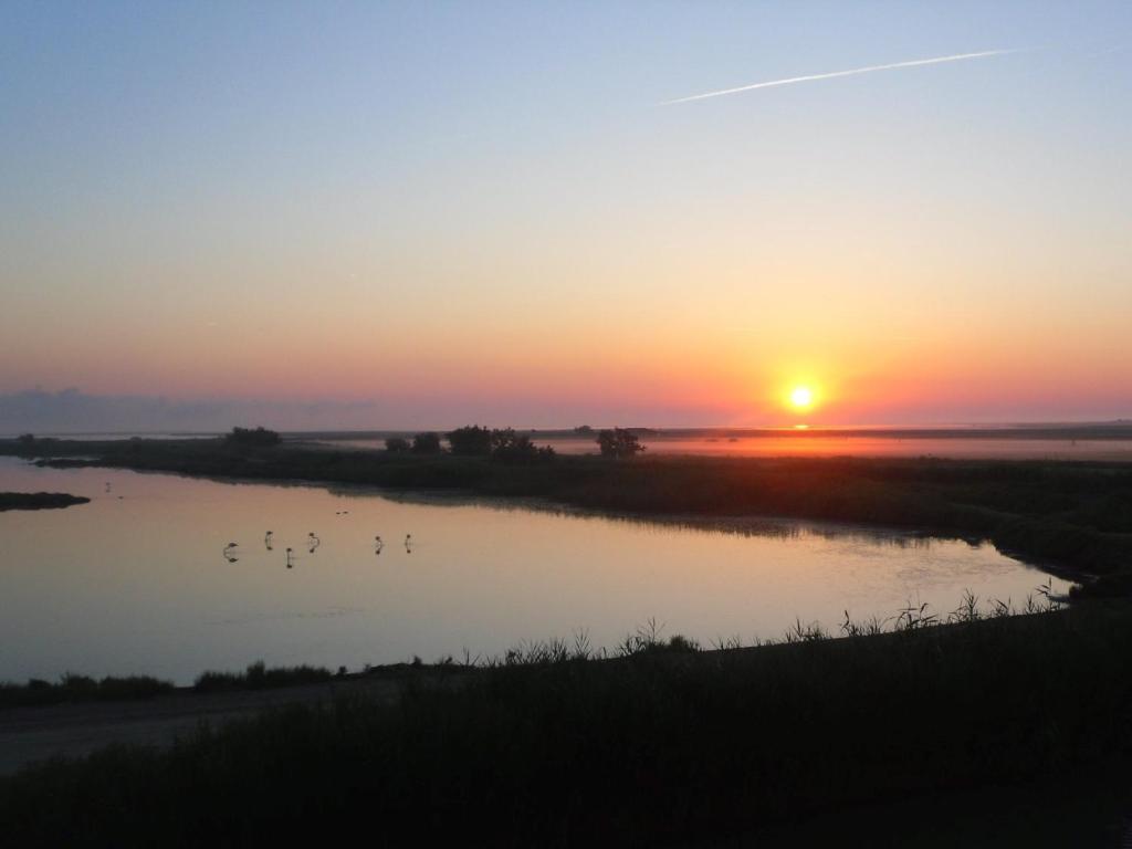Chambre les flamants, vue sur les étangs, les oiseaux, les flamants, petit déjeuner compris
