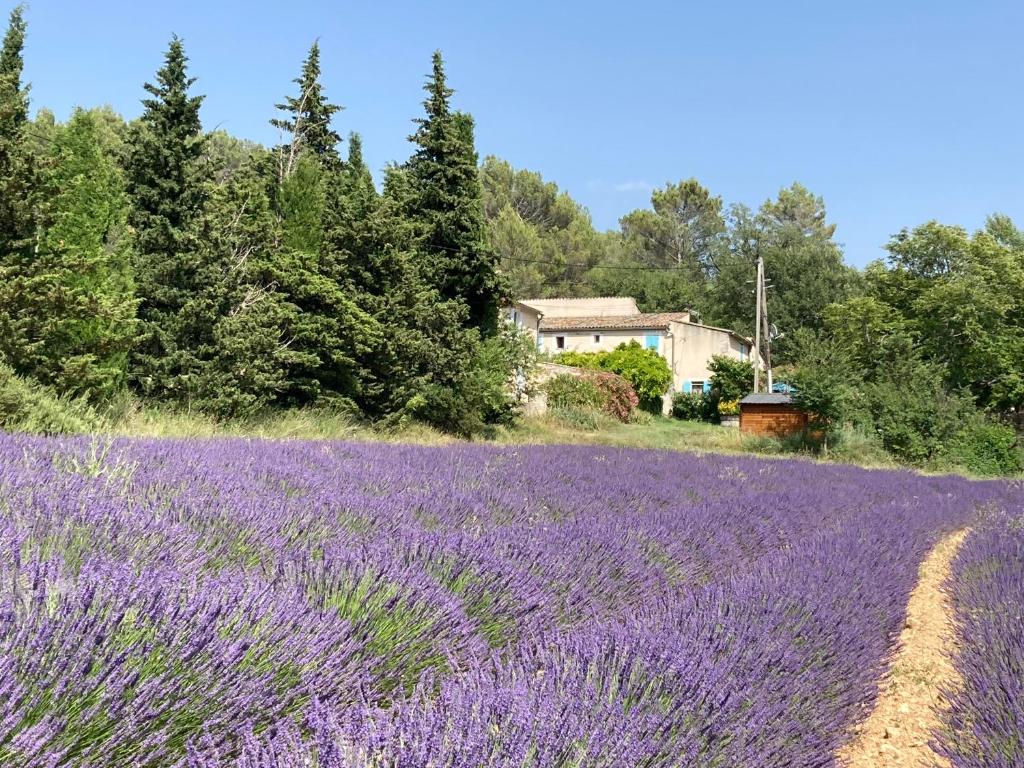 Maison au Colorado Provençal