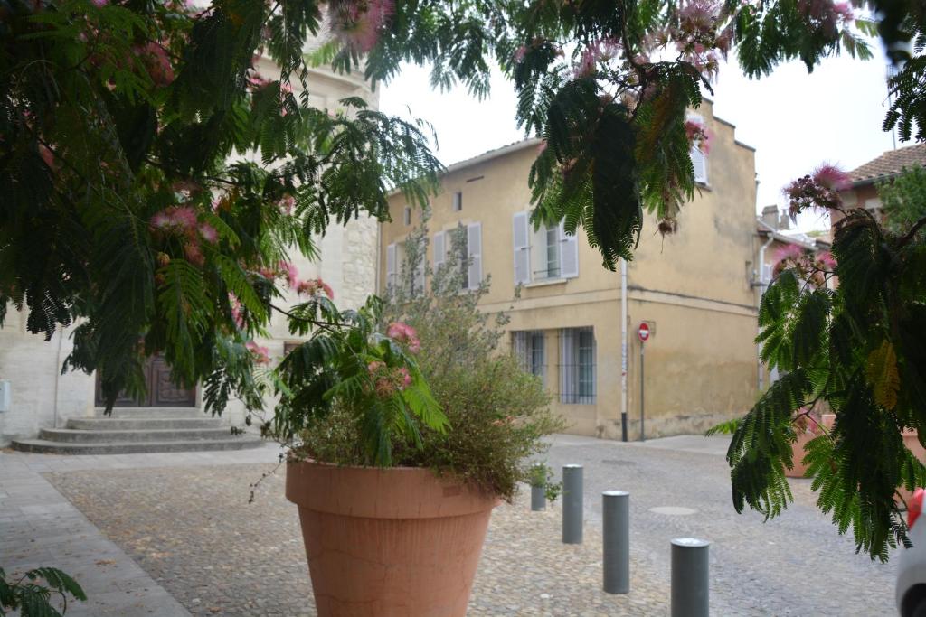 Maison Rascas