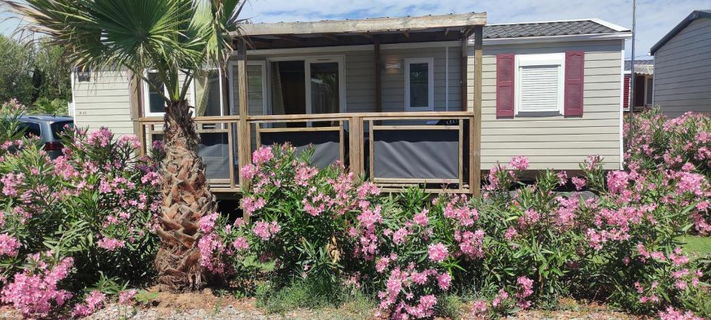 Mobil Home Palmiers 1